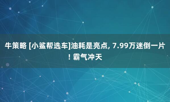 牛策略 [小鲨帮选车]油耗是亮点, 7.99万迷倒一片! 霸气冲天