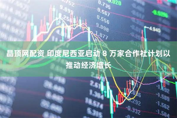 晶顶网配资 印度尼西亚启动 8 万家合作社计划以推动经济增长