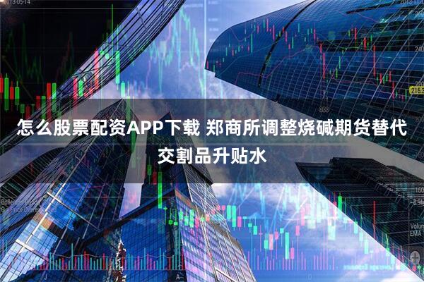 怎么股票配资APP下载 郑商所调整烧碱期货替代交割品升贴水