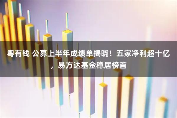 粤有钱 公募上半年成绩单揭晓！五家净利超十亿，易方达基金稳居榜首